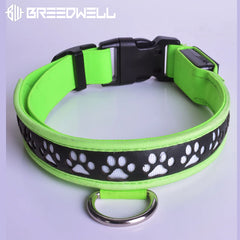 BREEDWELL-POUNDTOWN Collar LED para cachorros de cuero - Verde neón