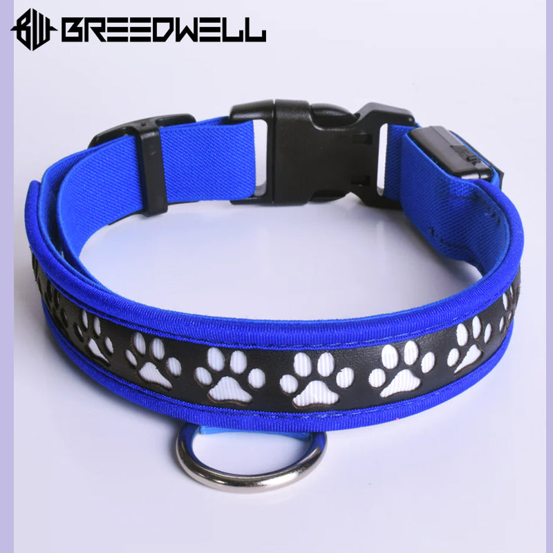 BREEDWELL-POUNDTOWN Collar LED para cachorros de cuero - Azul