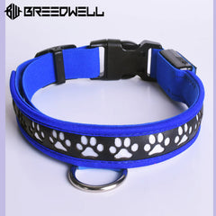 BREEDWELL-POUNDTOWN Collar LED para cachorros de cuero - Azul