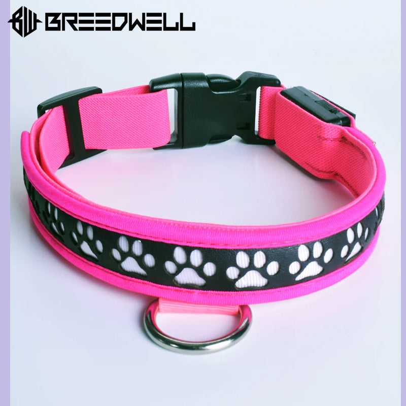 BREEDWELL-POUNDTOWN Collar LED para cachorros de cuero - Rosa neón