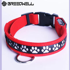 BREEDWELL-POUNDTOWN Collar LED para cachorros de cuero - Rojo