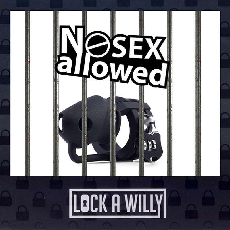 Lock a Willy - Conjunto de castidad